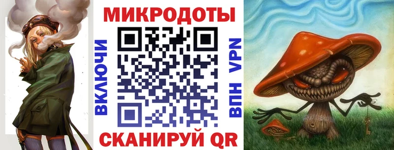 Псилоцибиновые грибы Psilocybine cubensis Азнакаево