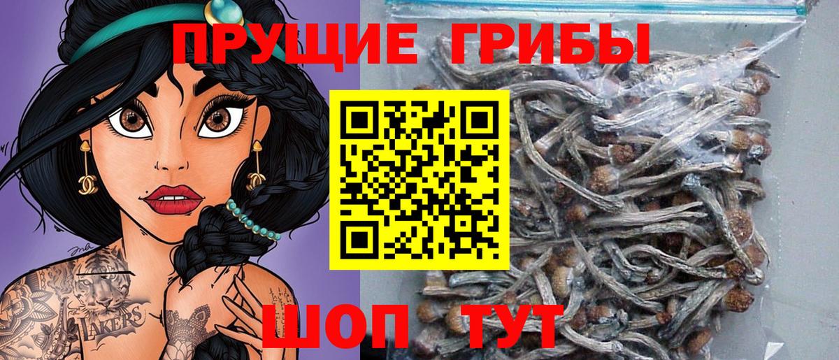 Азнакаево  Псилоцибиновые грибы Psilocybe  Вход с VPN 