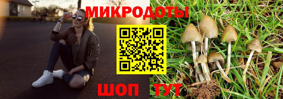 Галлюциногенные грибы MAGIC MUSHROOMS Азнакаево